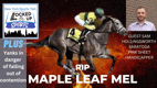 Maple Leaf Mel Breaks Down at Saratoga