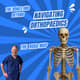 Navigating the Bones and Beyond: An Orthopaedic Roadmap