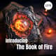 127 Introducing the Book of Fire: An Online Resource Hub for Fire Engineers 127 Introducing the Book of Fire: An Online Resource Hub for Fire Engineers
