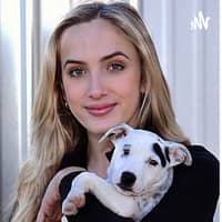 All About the Animals