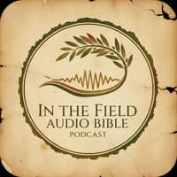 In the Field Audio Bible