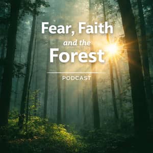 Fear, Faith and the Forest