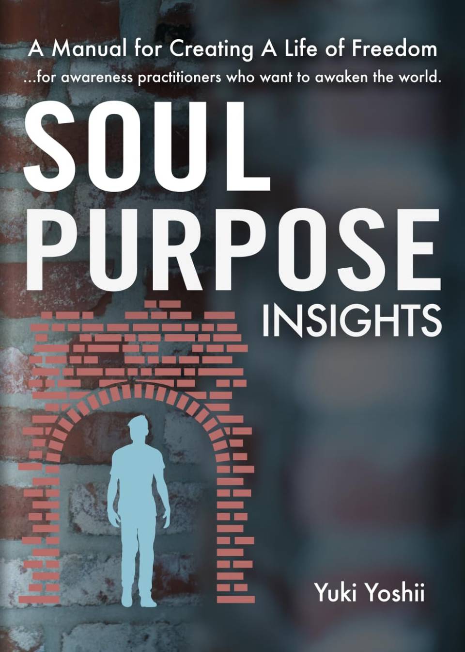 Soul Purpose Insight - Yuki Yoshii