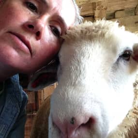 Karen Hoffman Profile Photo