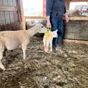 Jessica Newman Profile Photo