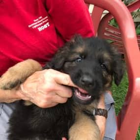 Michael Hough Profile Photo