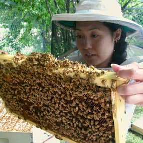 Judy Wu-Smart Profile Photo