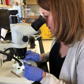 Julie Urban Profile Photo