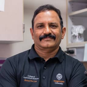 Ramesh Sagili Profile Photo Ramesh Sagili Profile Photo