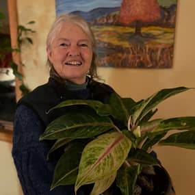 JInny Hardy Cleland Profile Photo