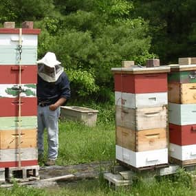 Tracy Alarcon Profile Photo