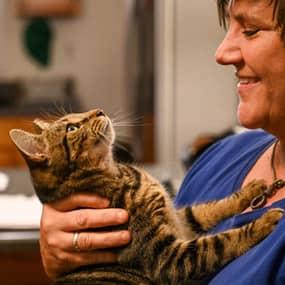 Nicole Harp Profile Photo