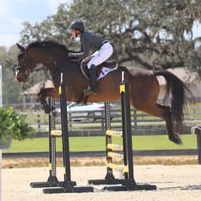 Amanda Chance Profile Photo