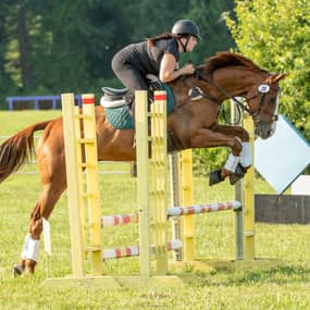 Madeline Conley Profile Photo Madeline Conley Profile Photo