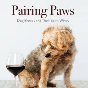 Michele Gargiulo Profile Photo