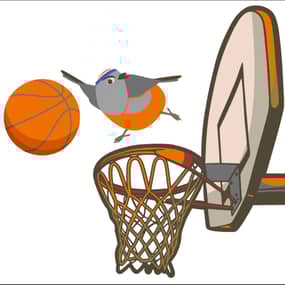 Robin Baskets Profile Photo