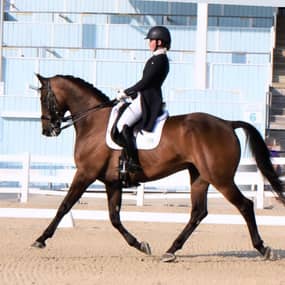 Harley Sarge (Whittaker) Profile Photo