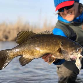 Mike Schultz Profile Photo