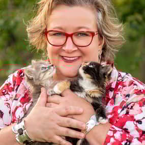 Amy P. Castro, MA, CSP Profile Photo Amy P. Castro, MA, CSP Profile Photo