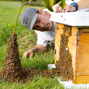 AJ Gardner Profile Photo AJ Gardner Profile Photo