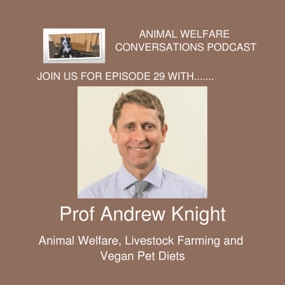 Professor Andrew Knight BVMS BSc PhD PFHEA DipECAWBM DipACAW MANZCVS FRCVS Profile Photo Professor Andrew Knight BVMS BSc PhD PFHEA DipECAWBM DipACAW MANZCVS FRCVS Profile Photo