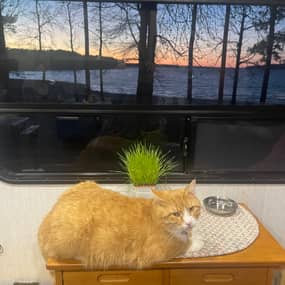 Janie Green Profile Photo Janie Green Profile Photo