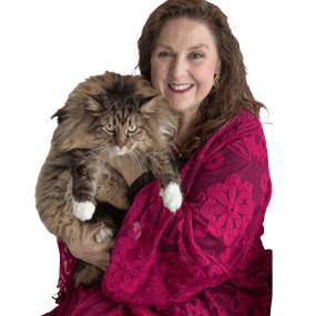 Mic Meow Profile Photo