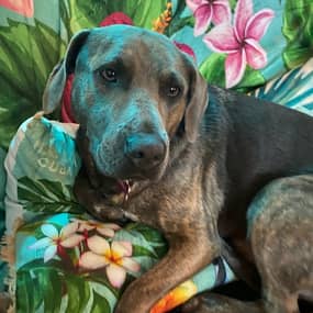 Coffee Profile Photo Coffee Profile Photo