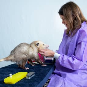 Dr. Daniele Swetnam Profile Photo Dr. Daniele Swetnam Profile Photo